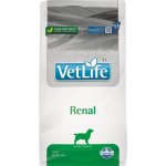 Vet Life Dog Renal 2 kg – Sleviste.cz