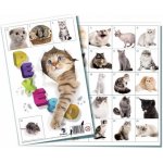 Bonaparte Pexeso: Kočky – Zbozi.Blesk.cz