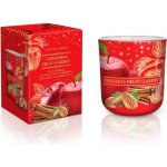 Bartek Candles CHRISTMAS FRUIT GARDEN-APPLE+CINNAMON 150 g – Zboží Mobilmania