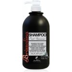 Kléral System Brizzolina Shampoo For Men 1000 ml – Zbozi.Blesk.cz