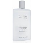 Issey Miyake L´Eau D´Issey pour Homme voda po holení 100 ml – Zboží Dáma