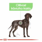 Royal Canin Maxi Digestive Care 3 kg – Hledejceny.cz