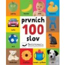 Prvních 100 slov