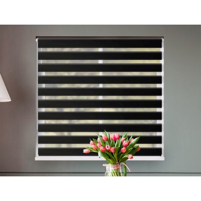 Fexi Roleta Den a noc, Origin černá, C 001 150x110 cm levá-bílá – Hledejceny.cz