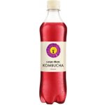 Carpe Diem Kombucha 0,5 l – Zboží Dáma