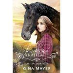 Cesta do Snowfieldu - Gina Mayer – Hledejceny.cz