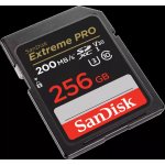 SanDisk SDXC UHS-I U3 256 GB SDSDXXD-256G-GN4IN – Zboží Živě