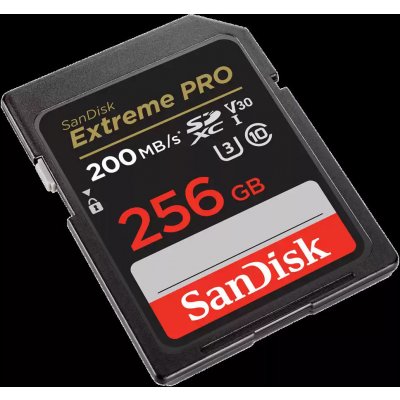 SanDisk SDXC UHS-I U3 256 GB SDSDXXD-256G-GN4IN – Zboží Živě