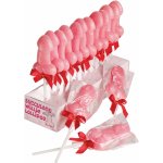 Spencer & Fleetwood Succulent Willie Lollipop 24x35g – Zbozi.Blesk.cz