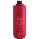 Lendan Color Addict šampon pro barvené vlasy 1000 ml