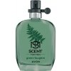 Parfém Avon Green Fougere toaletní voda pánská 30 ml