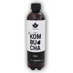 Puhdistamo Bio Kombucha malina 400 ml – Sleviste.cz