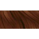 Barva na vlasy Sebastian Cellophanes barevný lesk čokoládová hnědá 300 ml