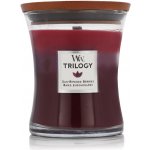 WoodWick Trilogy Amethyst Sky 275 g – Zboží Mobilmania