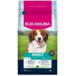 Eukanuba Premium Nutrition Adult Small & Medium Breed Lamb & Rice 12 kg – Hledejceny.cz