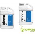 Athena Liquid Bloom A+B 3,78 l – Hledejceny.cz