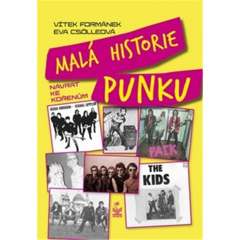 Malá historie punku - návrat ke kořenům - Formánek Vítek