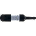 Merlot Luc Pirlet 2022 2022 Francie Languedoc červené suché 13% 0,75 l (holá láhev) – Hledejceny.cz