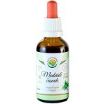 Salvia Paradise Medvědí česnek lyofilizovaný AF tinktura 50 ml – Hledejceny.cz