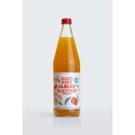 Moštárna Hostětín mošt jablko rakytník Bio 750 ml – Zboží Dáma