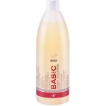 Master profesional šampon pro barvené vlasy 970 ml – Hledejceny.cz