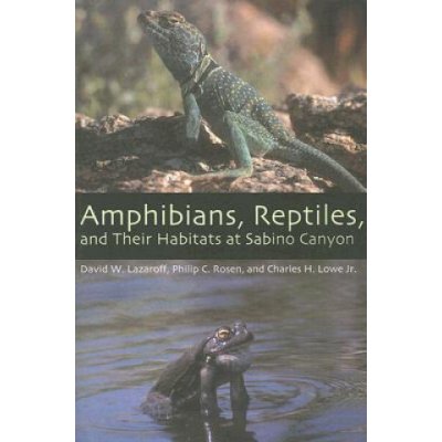 Amphibians, Reptiles, and Their Habitats at Sabino Canyon – Zbozi.Blesk.cz