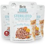 Brit Care Cat Sterilized Fillets in Gravy Healthy Rabbit 85 g – Sleviste.cz