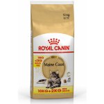 Royal Canin Maine Coon Adult granule pro kočky 10 kg – Zboží Mobilmania