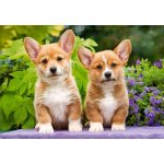 CASTORLAND Štěňata Welsh Corgi " 1000 dílků – Hledejceny.cz