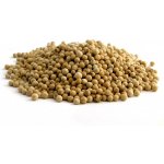 Bylík Pepř bílý celý 100 g – Hledejceny.cz