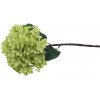 Květina Hortenzie světle zelená X5788-15