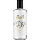 Steves Stevova Voda po holení Šumava, 100 ml