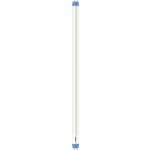 Philips LED trubice G13 T8 8 W studená bílá 28 x 604 mm 1 ks – Hledejceny.cz