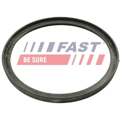 Těsnicí kroužek, hadice plnicího vzduchu FAST FT49922 – Zboží Mobilmania