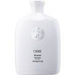 Oribe Silverati Shampoo 250 ml – Hledejceny.cz