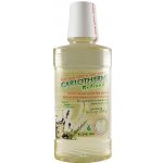 Carlotherm bylinná 250 ml – Zboží Dáma