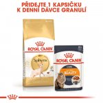 Royal Canin Sphynx Adult 10 kg – Sleviste.cz