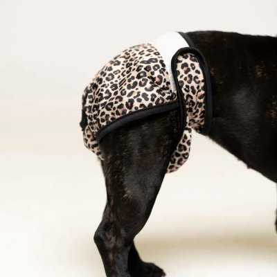 Lou and Co. Hárací kalhotky Leopard Large – Sleviste.cz