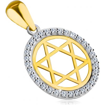 Šperky Eshop Přívěsek ze 14K kombinovaného zlata Davidova hvězda v kruhu se zirkonovým lemem S1GG44.23 – Zboží Mobilmania