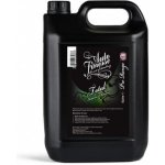 Auto Finesse Total Interior Cleaner 5 l – Sleviste.cz