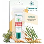 Himalaya Herbals Hydratační balzám na rty 10 g – Zboží Dáma
