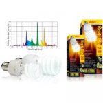 Hagen ExoTerra Repti Glo 2.0 13 W – Zboží Dáma
