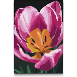 Vymalujsisam.cz Malování podle čísel Květ tulipánu Velikost 20 x 30 cm Rámování Na dřevěné desce