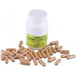 Mazzoleny Prodotti Silymarin 80% Extrakt z Ostropestřce plus Lecitin tablety 500 mg 180 ks – Hledejceny.cz