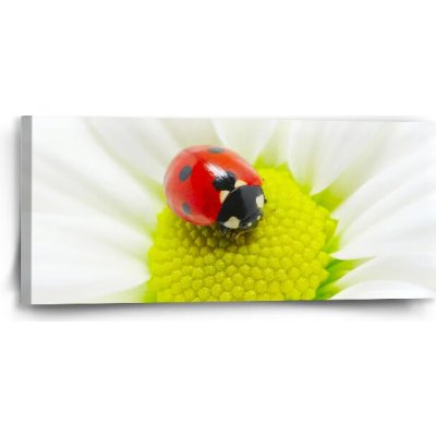 Sablio Obraz Beruška na květu - 110x50 cm – Hledejceny.cz