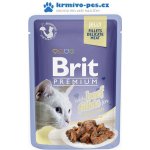 Brit cat Premium Fillets jelly Beef 85 g – Zboží Mobilmania