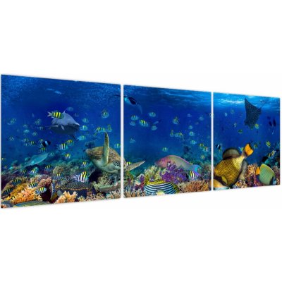 Obraz - Oceán, třídílný 150x50 cm – Hledejceny.cz