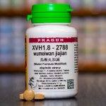 Pragon XVH1.8 - 2788 36 tablet – Hledejceny.cz