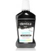 Ústní vody a deodoranty Tołpa Dentica Black White bělicí ústní voda s aktivním uhlím 500 ml