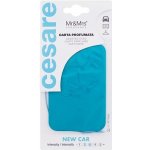 Mr&Mrs Fragrance Cesare Scented Cards New Car – Hledejceny.cz